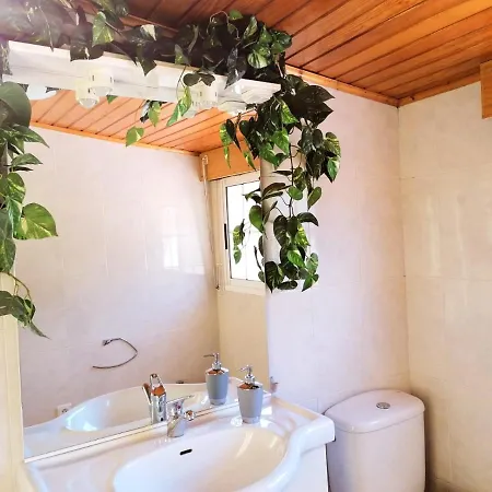 Homestay Azul Cielo O Pino